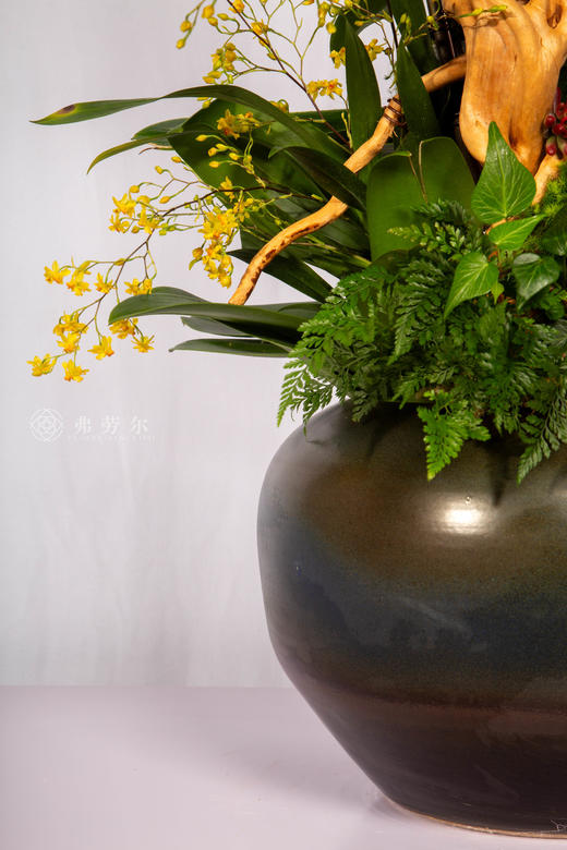 马上加薪 商品图4