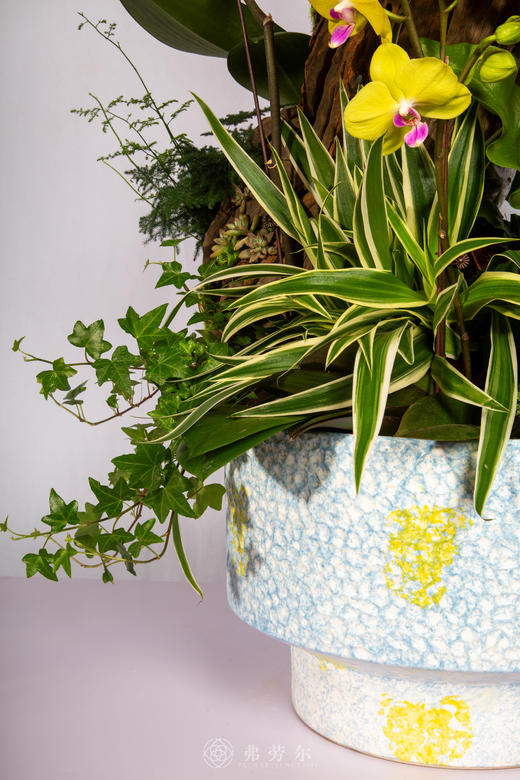 马上有钱 商品图2