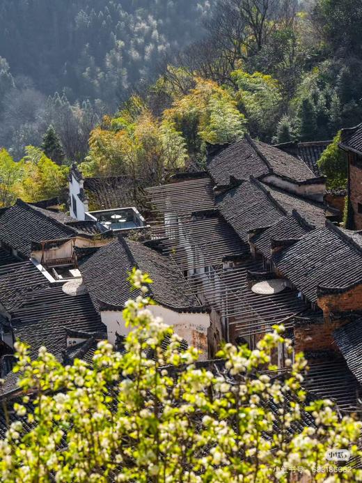 江西&安徽·寻仙游记 - 纯玩双飞7日游【邻居专团】 商品图4