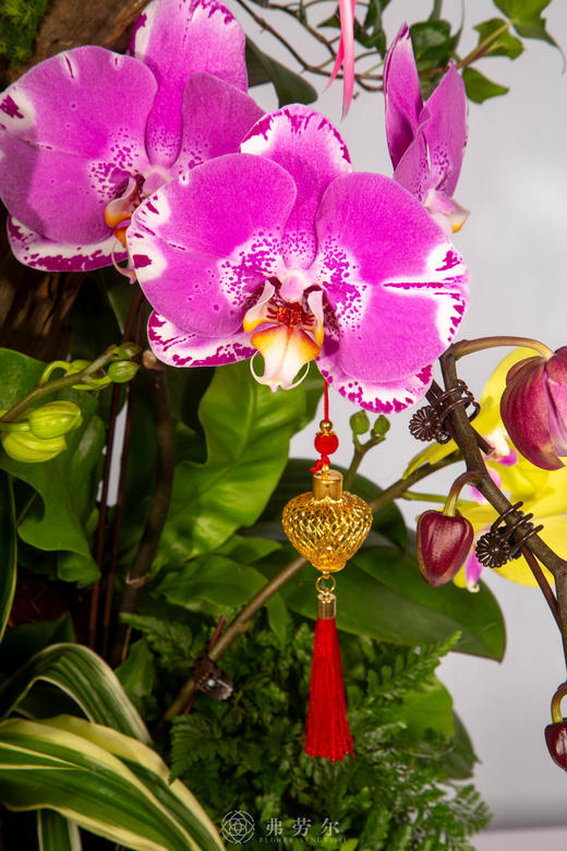 马上有钱 商品图3