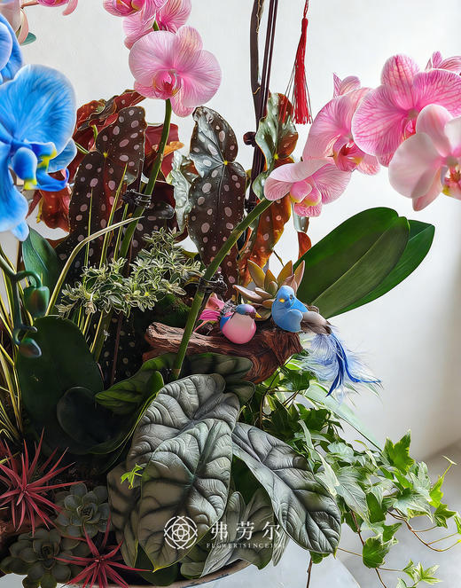 腰缠万贯 商品图3