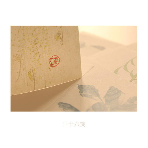 《夜雨藏笺》 尽赏笺纸雅韵 重拾书写温情 商品图3