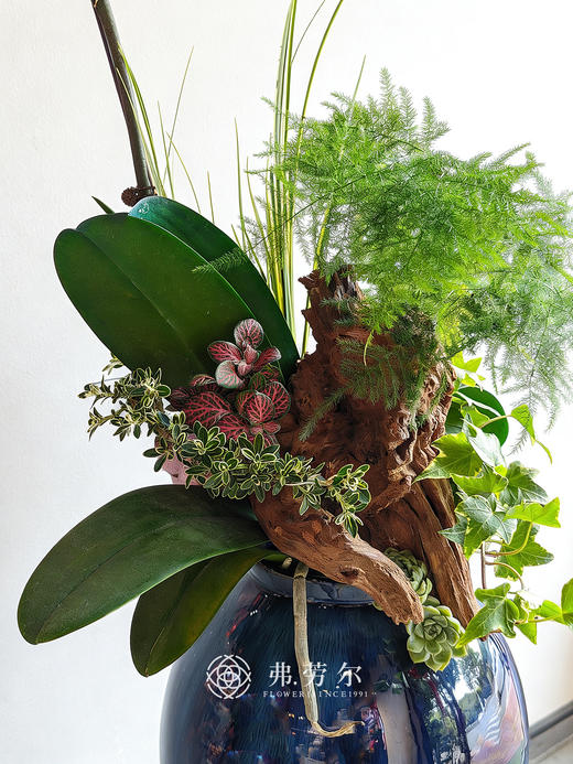 马上有财花 商品图1