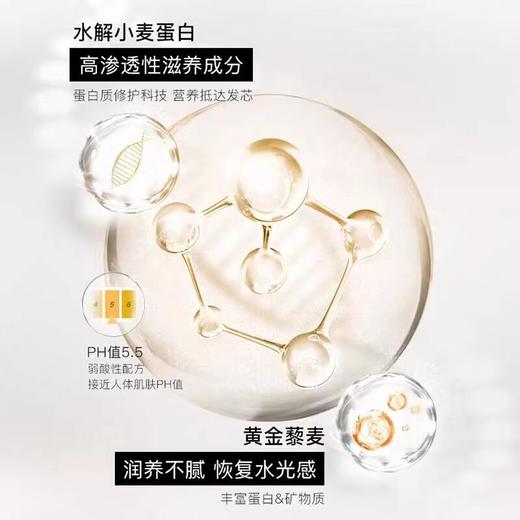 进口西班牙欧莱雅PRO高端修护奶酪瓶洗发水改善毛躁 500ml/瓶 商品图1