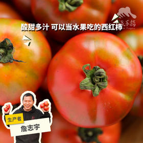 生态草莓西红柿/番茄（小规格1斤装） | 绿家自产*Ecological tomato | In-House Production