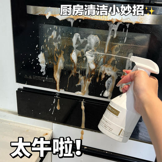 【史普力重油污清洁剂】强力去污环保配方 一喷一擦油污立除( 2.8-2.24停发） 商品图7