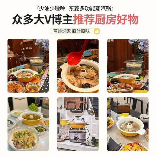东菱 多功能蒸炖锅  家用电蒸锅粥蒸汽锅隔水炖电火锅火锅中式料理锅DL-9009 商品图4