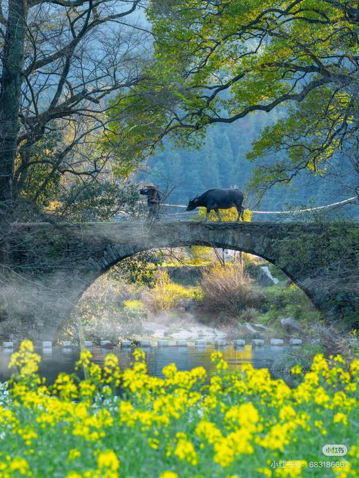 江西&安徽·寻仙游记 - 纯玩双飞7日游【邻居专团】 商品图0