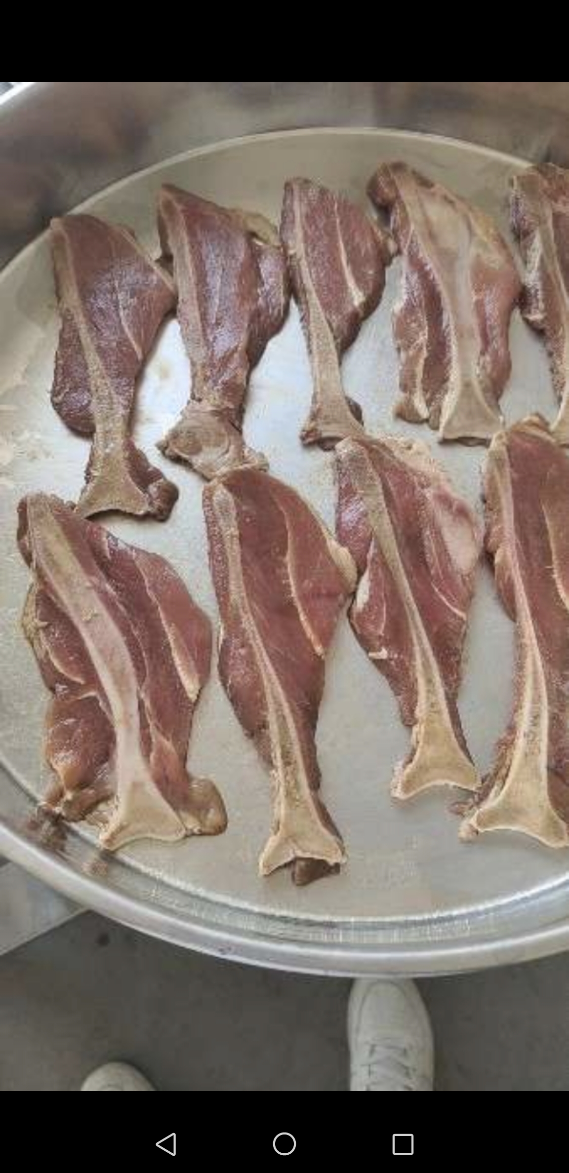 玮贤手抓扇子骨