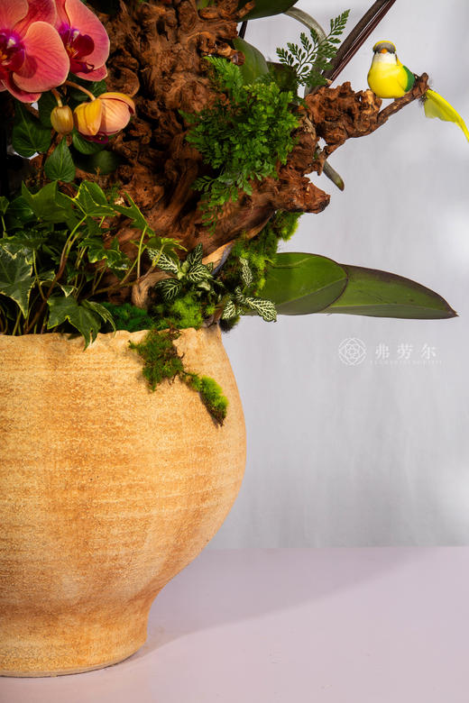 马上团圆 商品图4