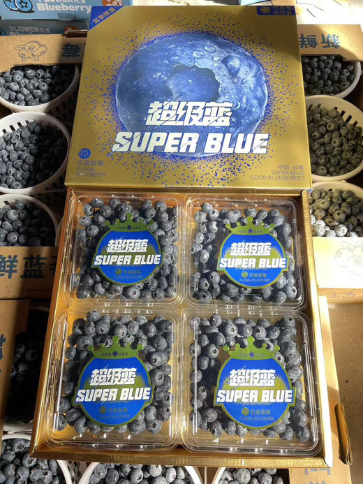 超级蓝莓 礼盒装 送礼必备 商品图1
