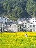江西&安徽·寻仙游记 - 纯玩双飞7日游【邻居专团】 商品缩略图1