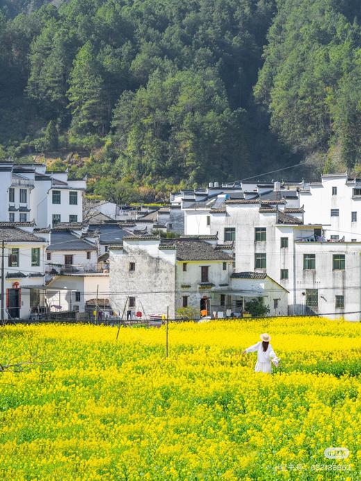 江西&安徽·寻仙游记 - 纯玩双飞7日游【邻居专团】 商品图1