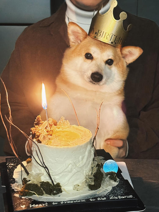 风栖山野（提前两日预定） 商品图10