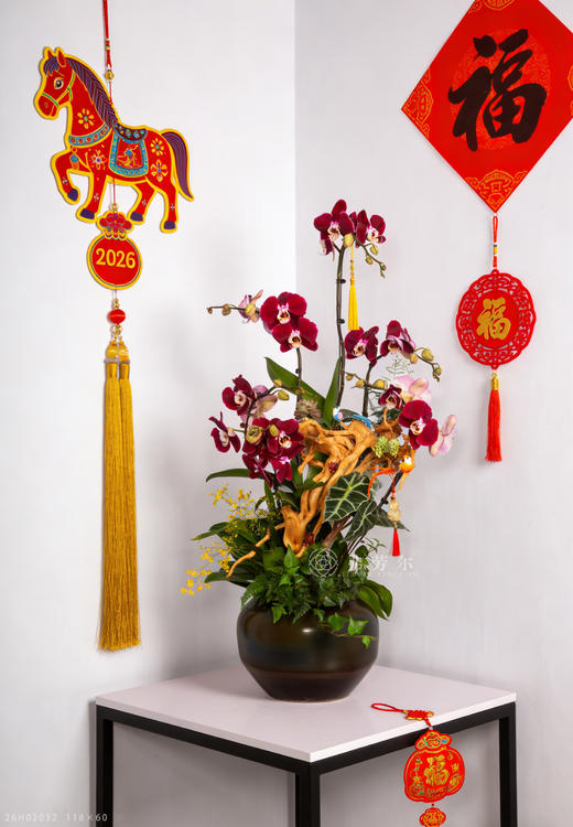 马上加薪 商品图0