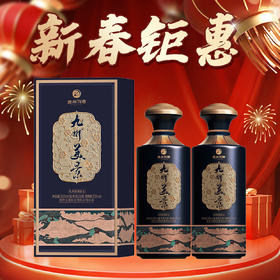 【年货节】习酒 九州美景 匠心 酱香型 53度 500ml x2 双支