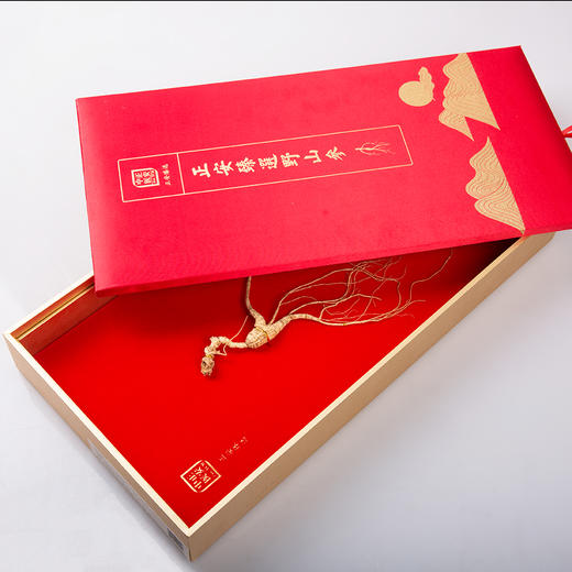 正安·国检认证野山参 长白山人参基地直采  一参一证  溯源可查【不可用券】 商品图4