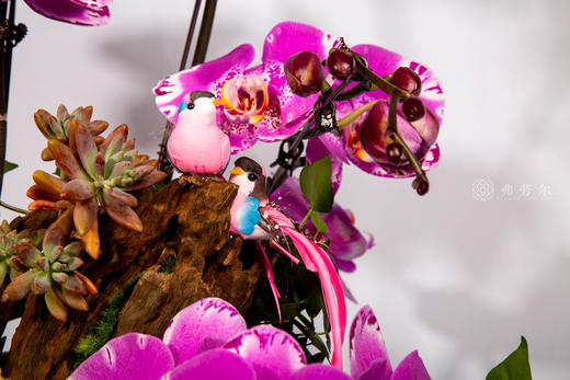 马上有钱 商品图4