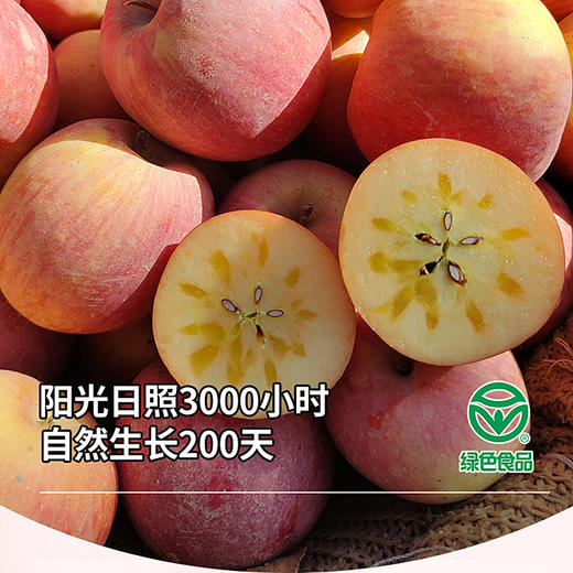 【新疆阿克苏苹果】脆甜多汁现摘现发 果香浓郁果肉细腻（2.9起停发）（2.9-2.24停发） 商品图3