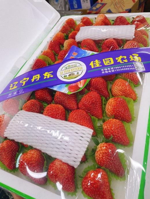 5排巨无霸草莓一箱 商品图0