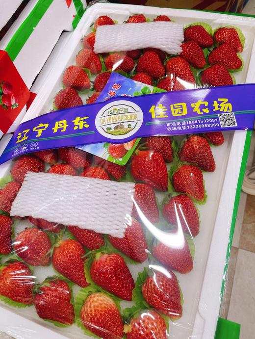 5排巨无霸草莓一箱 商品图1