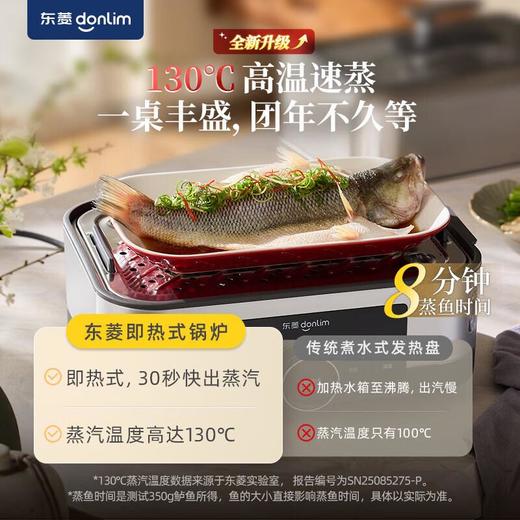 东菱家用多功能电蒸锅 DL-1005 商品图3