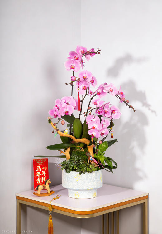 马上有福 商品图0