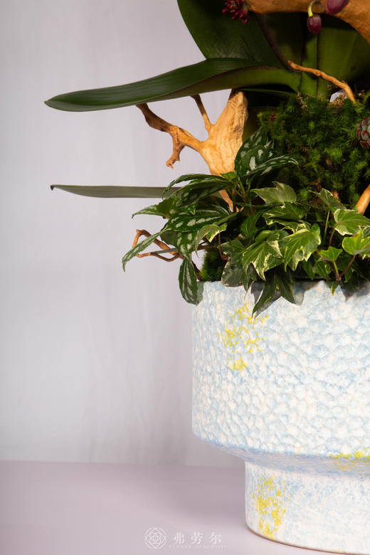 马上有福 商品图4