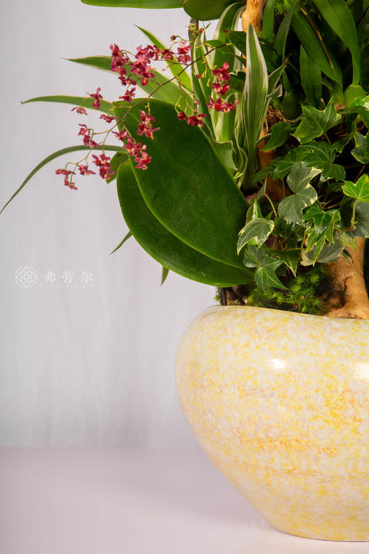 马上甜蜜 商品图4