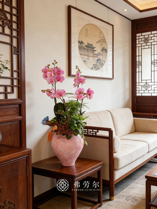 锦绣前程-粉盆马卡龙蝴蝶兰粉 商品图0