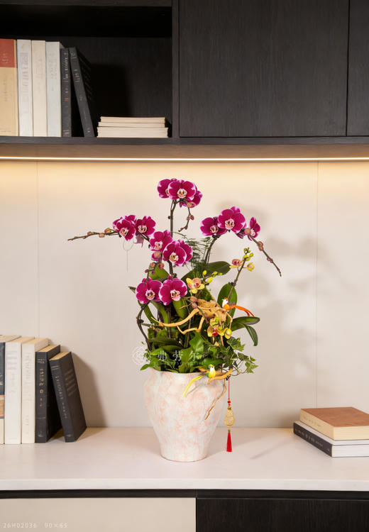 马上开心 商品图0