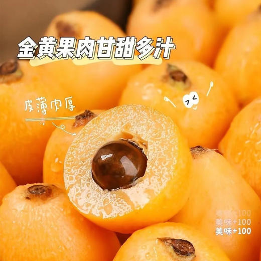 【米易枇杷】树熟枇杷皮薄肉厚鲜甜多汁 果型饱满色泽金黄（2.9-2.24停发） 商品图1