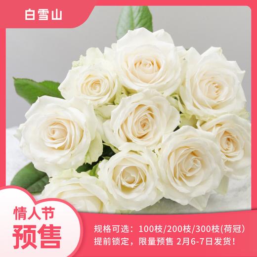 【预售玫瑰】 商品图0