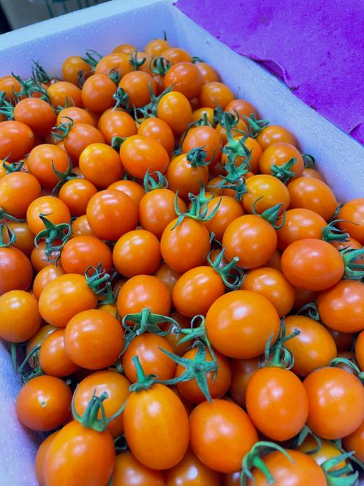 姑娘柿子一箱 商品图2