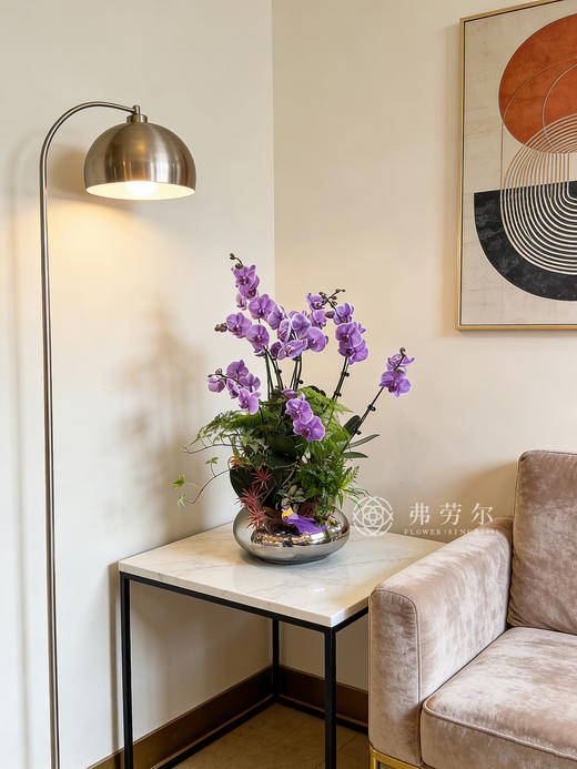 前途无量 商品图0