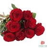 【预售玫瑰】 商品缩略图0