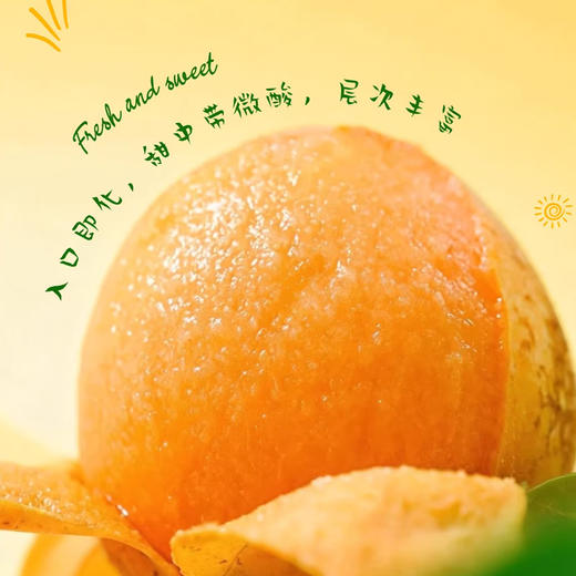 【米易枇杷】树熟枇杷皮薄肉厚鲜甜多汁 果型饱满色泽金黄（2.9-2.24停发） 商品图3