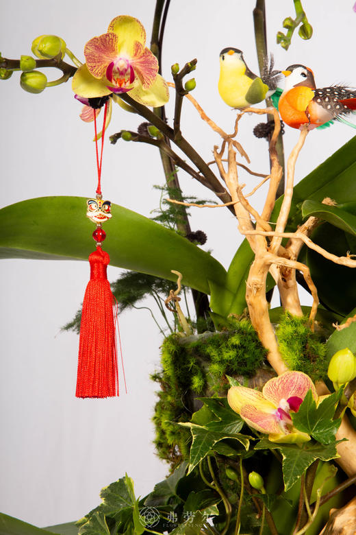 马上安康 商品图2