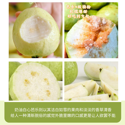 【芭乐】树熟芭乐果香四溢清甜爽口 冰淇淋口感软糯香甜（红心/白心）（2.12-2.24停发） 商品图11