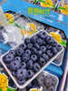 六合一蓝莓礼盒 商品缩略图2