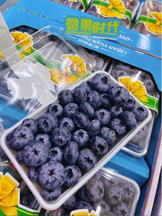 六合一蓝莓礼盒 商品图2