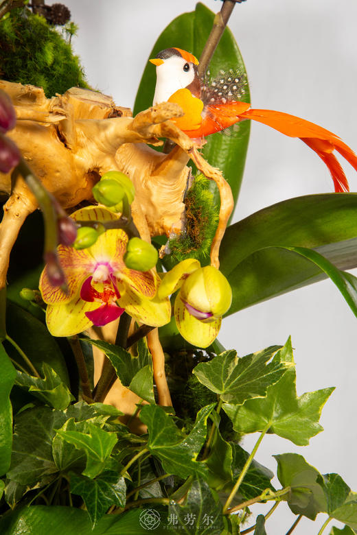 马上开心 商品图3