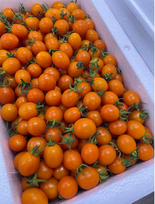 姑娘柿子一箱 商品图0