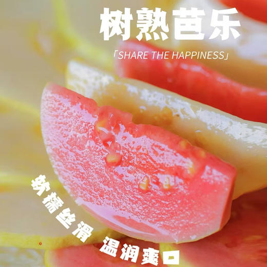 【芭乐】树熟芭乐果香四溢清甜爽口 冰淇淋口感软糯香甜（红心/白心）（2.12-2.24停发） 商品图1