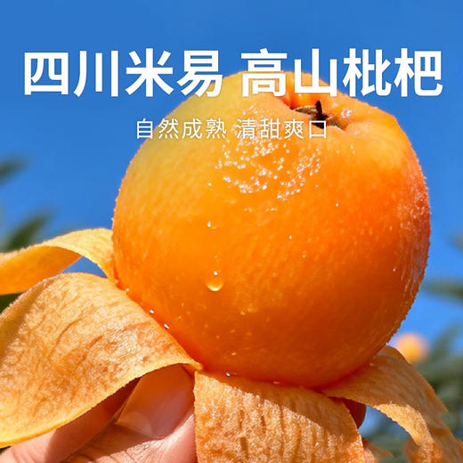 【米易枇杷】树熟枇杷皮薄肉厚鲜甜多汁 果型饱满色泽金黄（2.9-2.24停发） 商品图0
