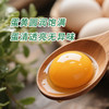 七里海散养柴鸡蛋30枚 商品缩略图1