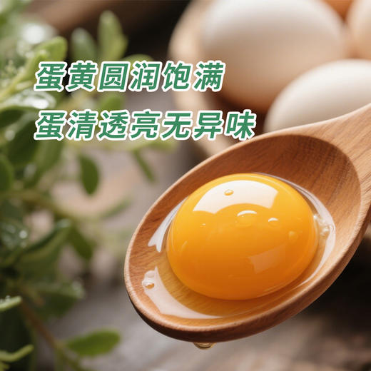 七里海散养柴鸡蛋30枚 商品图1
