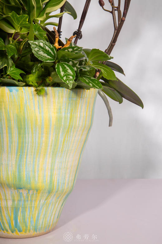 马上暴富 商品图3