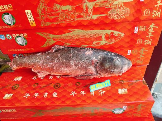查干有机白莲鱼礼盒（8斤左右） 商品图0