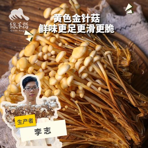 有机黄色金针菇 | 绿家自产 *ecological mushroom | Self-production 商品图0